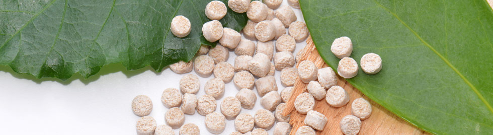 The Science & Technology of Biodegradable and Compostable Plastics