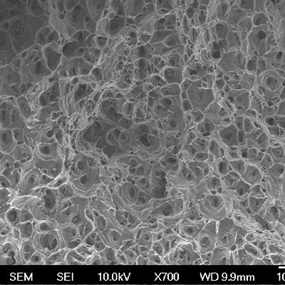 Decoding fibre secrets of two jute species - Research Outreach